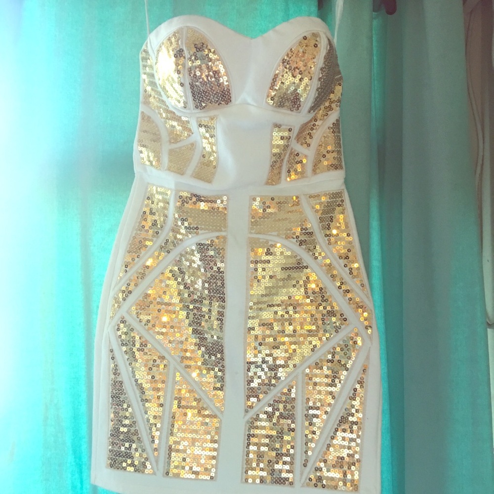Haute & Rebellious sequin bodycon Dress preloved